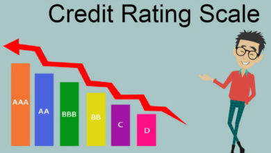 Credit Rating